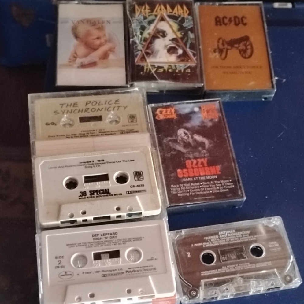 Vintage Rock Cassette Tape Collection